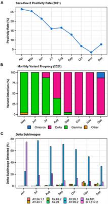 Early Emergence and Dispersal of Delta SARS-CoV-2 Lineage AY.99.2 in Brazil
